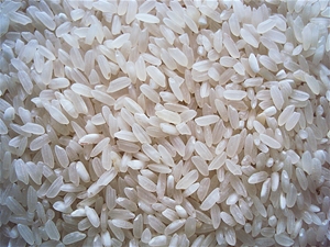 Gạo Hàm Châu xốp - Gạo Gia Phú - Công Ty TNHH Nông Sản Gia Phú